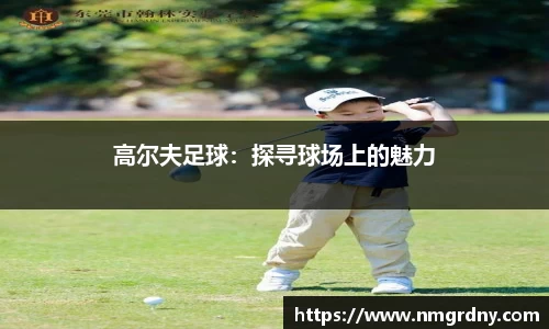 DB旗舰官网