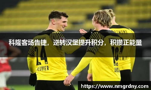 DB旗舰官网