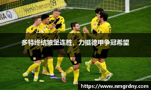 DB旗舰官网