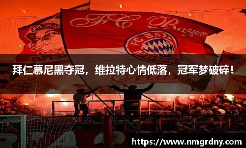 DB旗舰官网