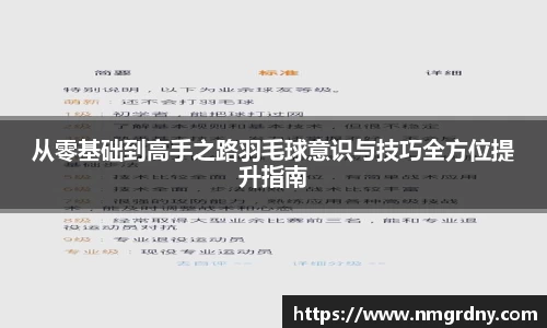 从零基础到高手之路羽毛球意识与技巧全方位提升指南