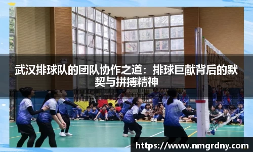 DB旗舰官网