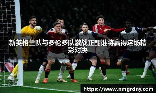 新英格兰队与多伦多队激战正酣谁将赢得这场精彩对决
