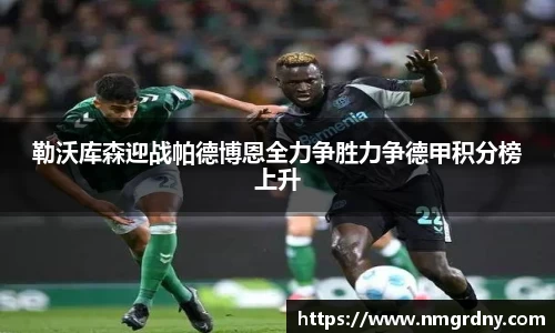 勒沃库森迎战帕德博恩全力争胜力争德甲积分榜上升